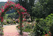 Gepflegter Garten